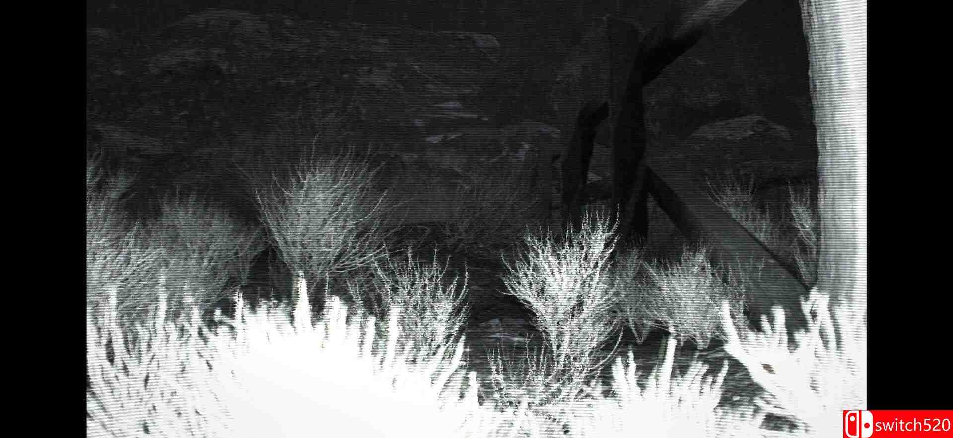 《野外监控（TRAILCAM）》TiNYiSO镜像版[EN]_5