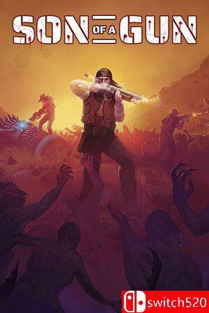 《孤胆佣兵》游戏封面