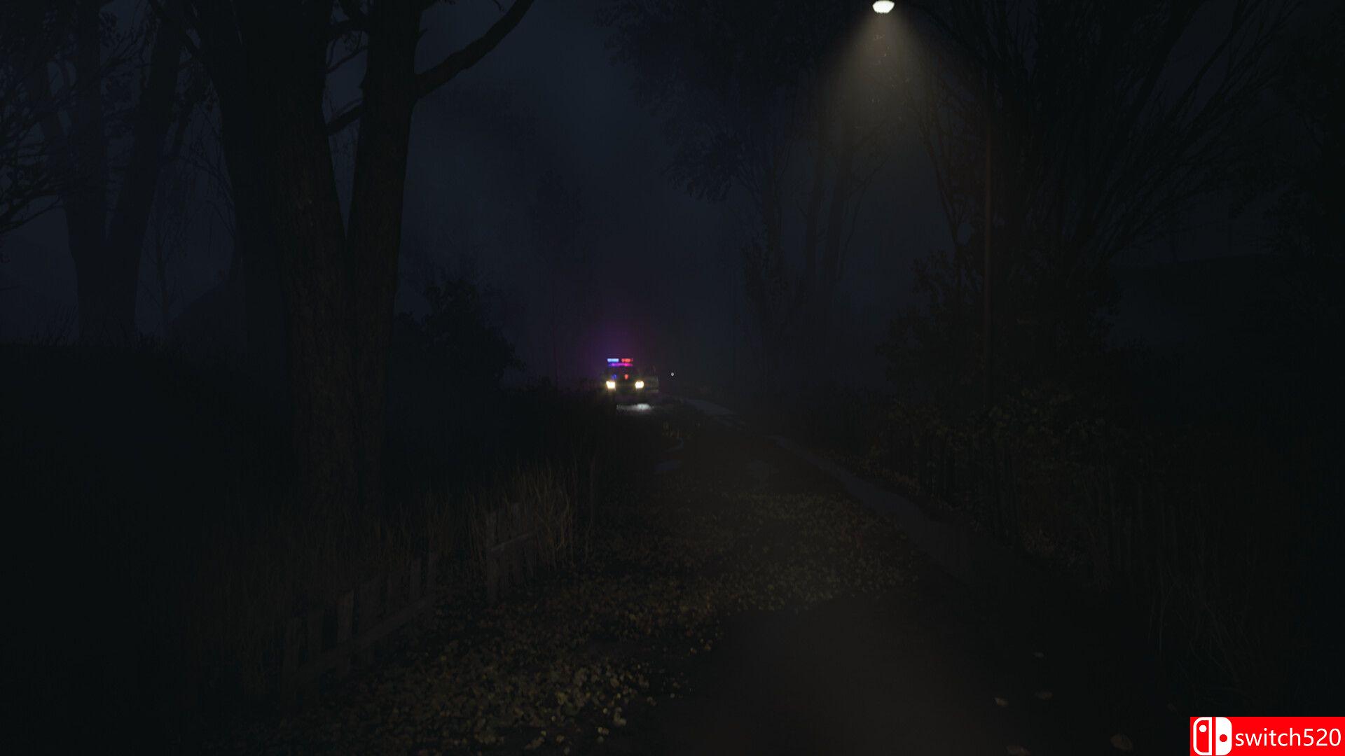 《微弱呼唤》游戏截图1