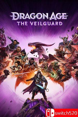 龙腾世纪：影障守护者游戏封面