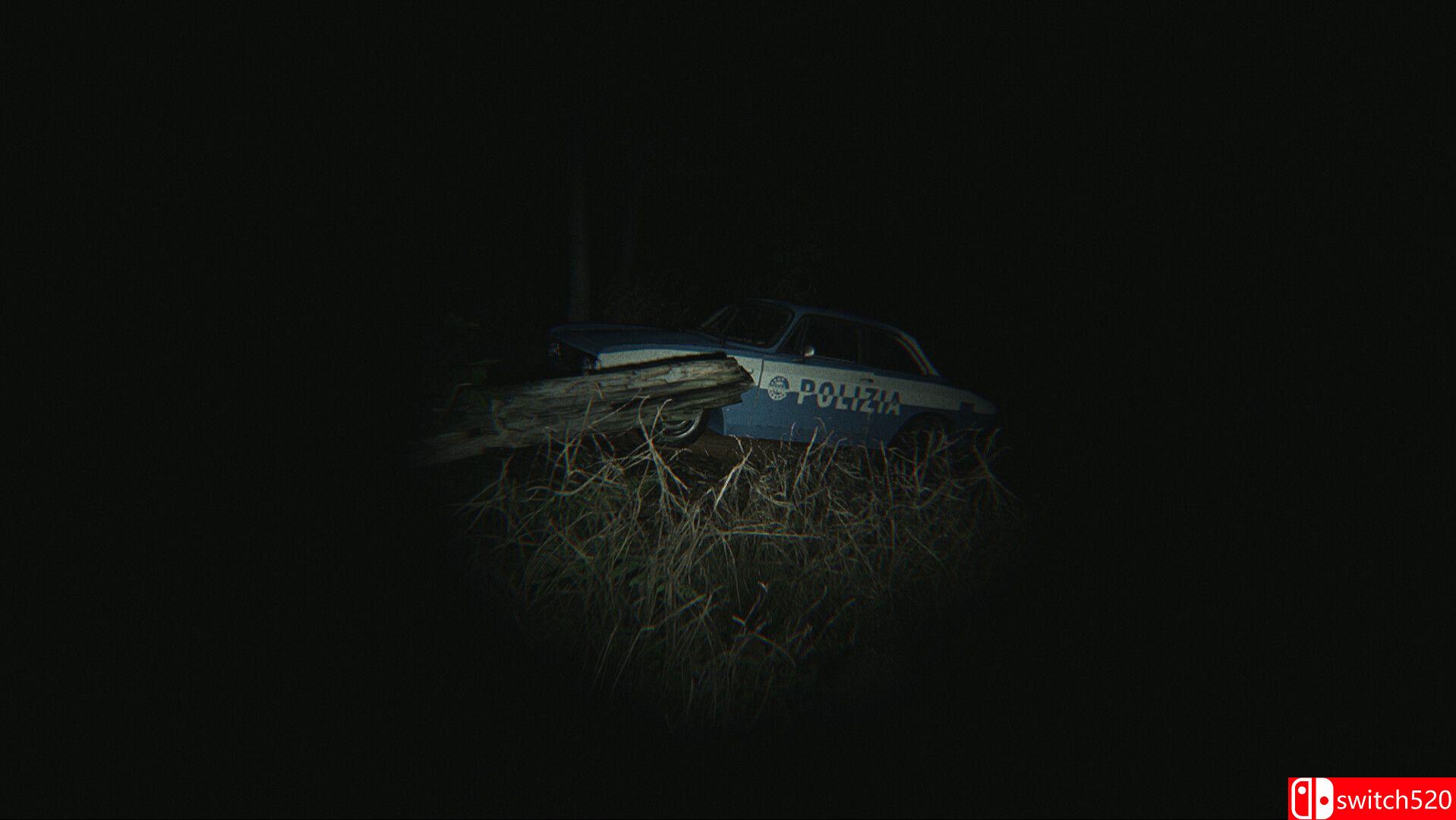 《地狱种子：全章节》游戏截图4