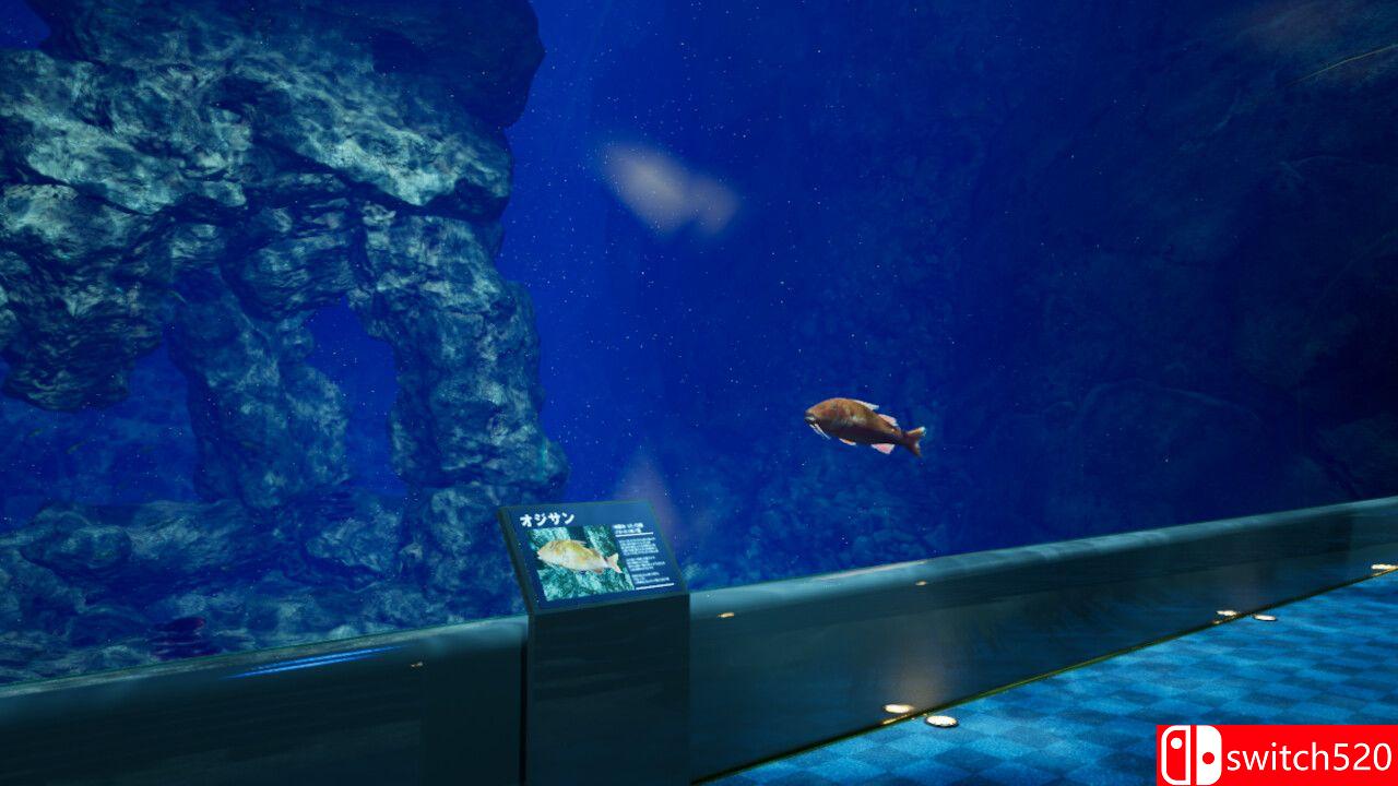 《8月32日的水族館》游戏截图5