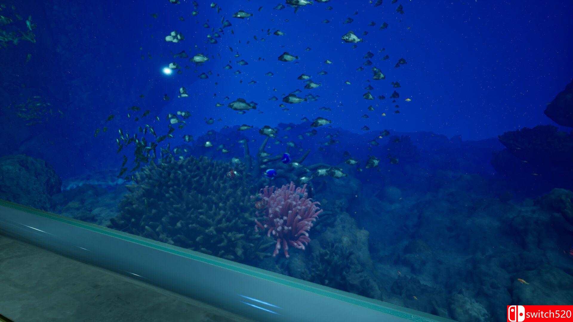 《8月32日的水族館》游戏截图4