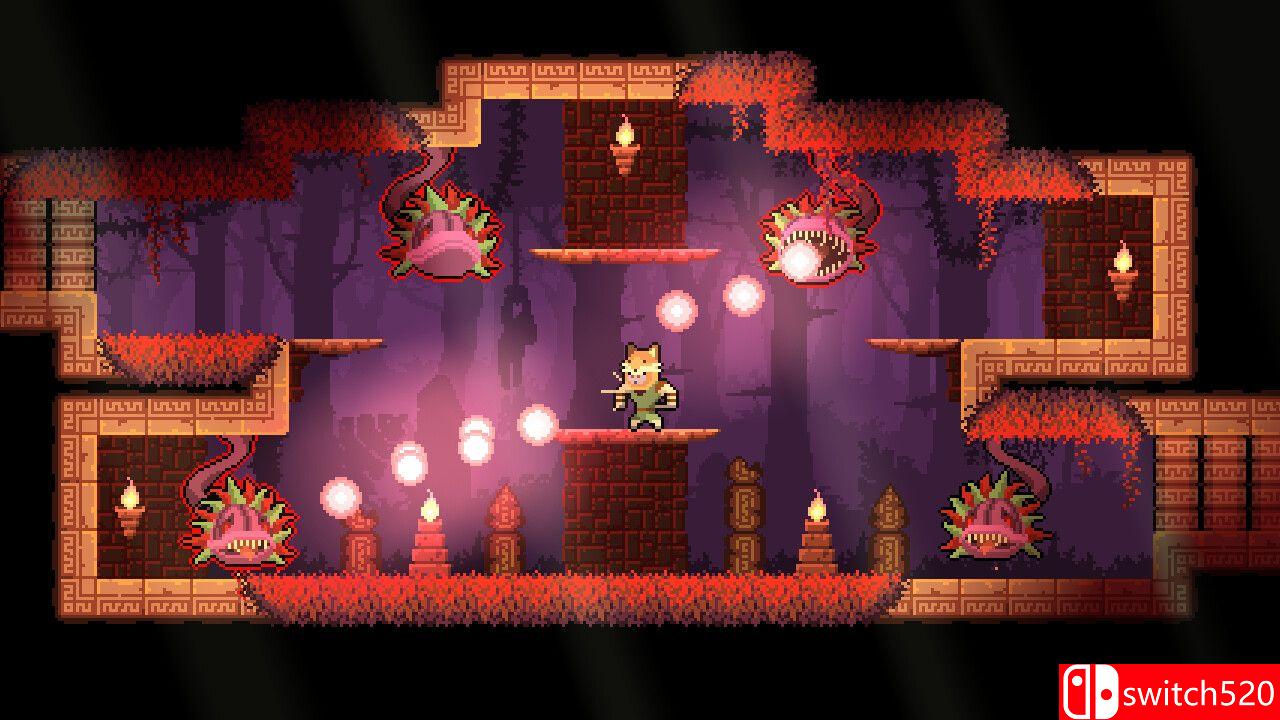 《护林猿神》游戏截图四