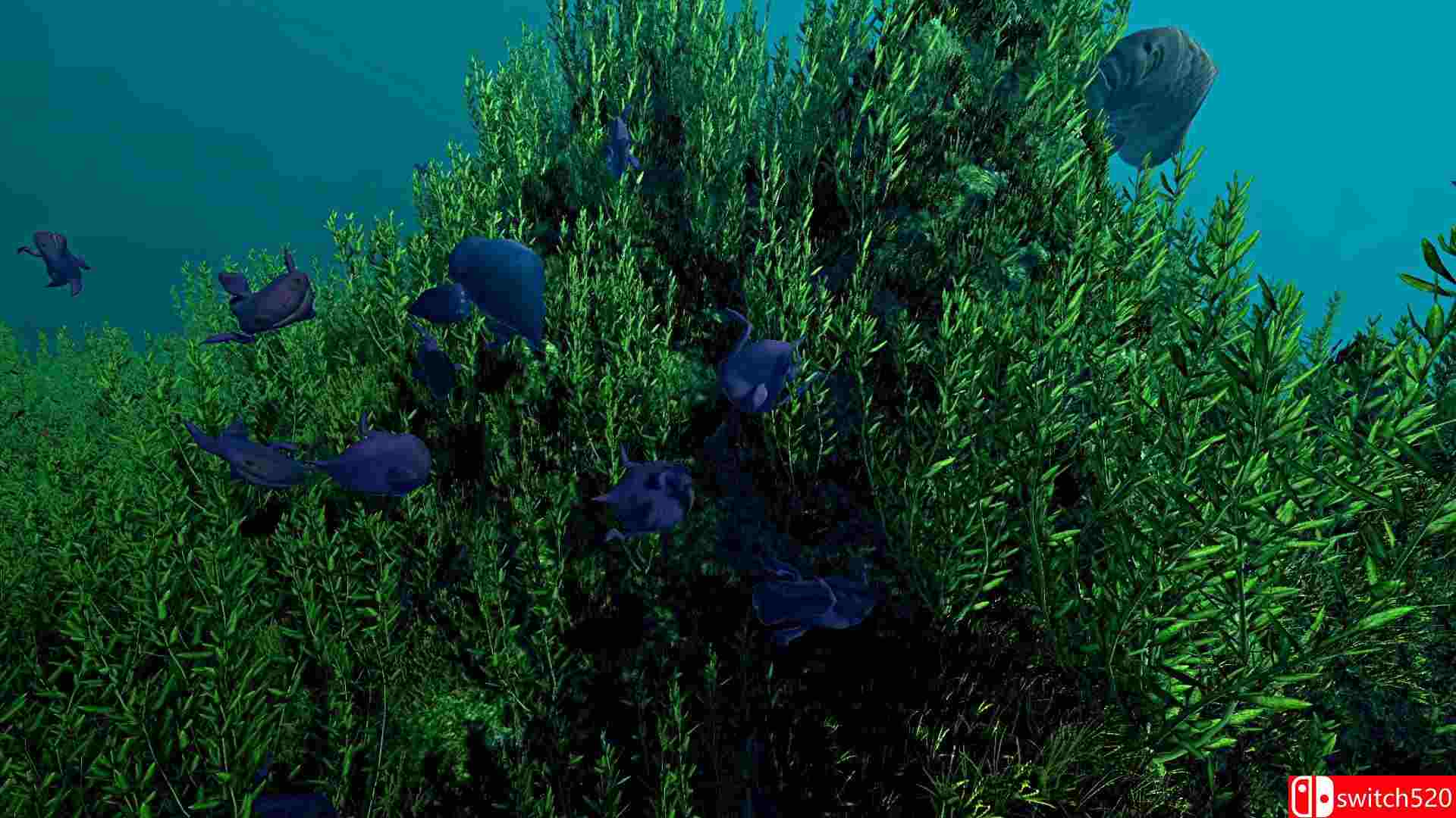 《生态系统（Ecosystem）》TENOKE镜像版[EN/JP]_4