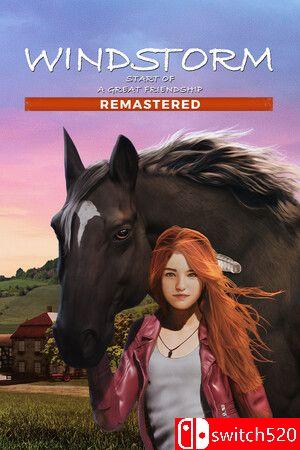 《风暴：深厚友谊的开始 重制版》游戏封面