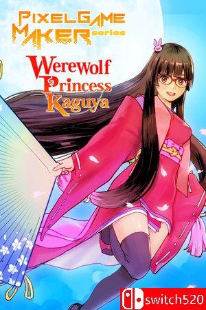 狼姬辉夜游戏封面