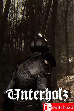 《幽暗之森（Unterholz）》TENOKE镜像版封面图