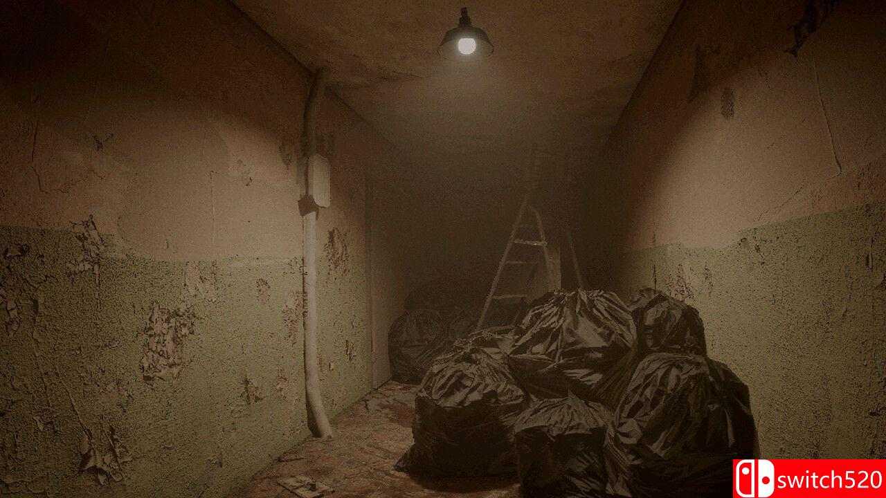 SKUF后室游戏截图3