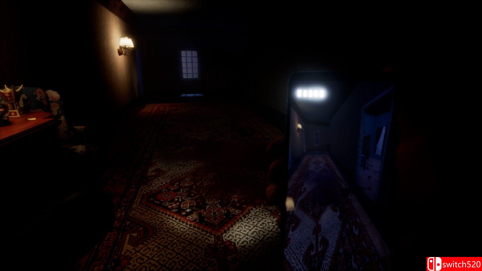 《法蒂玛姨妈》游戏截图1