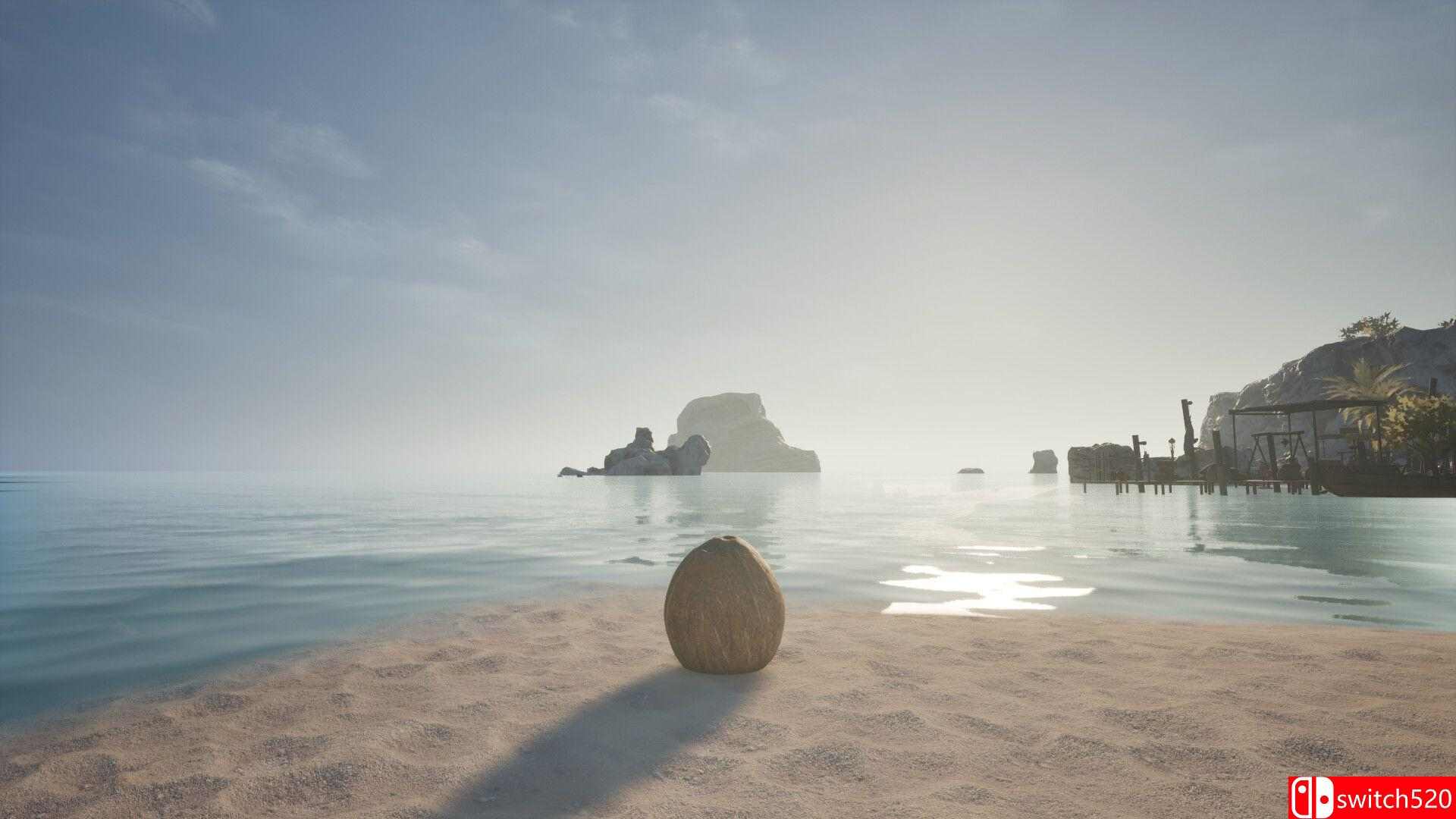 椰子模拟器游戏截图1