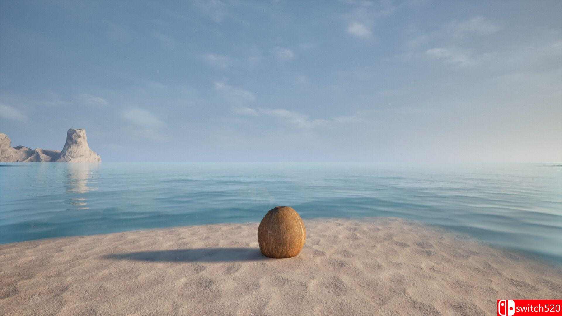 椰子模拟器游戏截图3