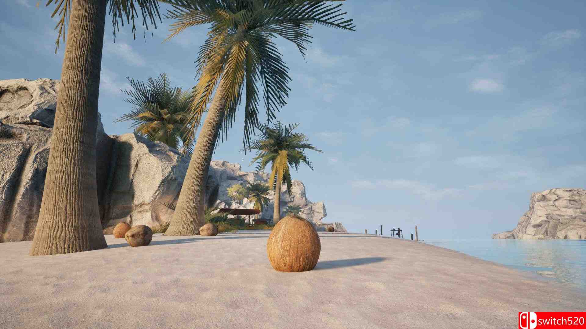 椰子模拟器游戏截图4