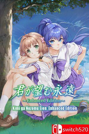 《你所期望的永远：增强版》游戏封面