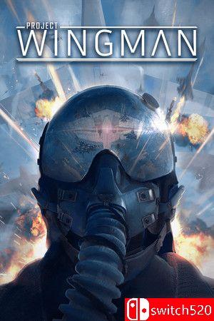 《僚机计划（Project Wingman）》游戏封面