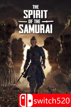 《武士的精神》游戏封面