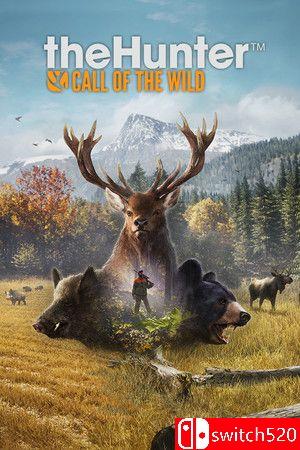 《猎人：荒野的呼唤》游戏封面