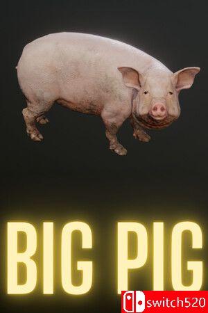 《巨猪争霸（Big Pig）》游戏封面