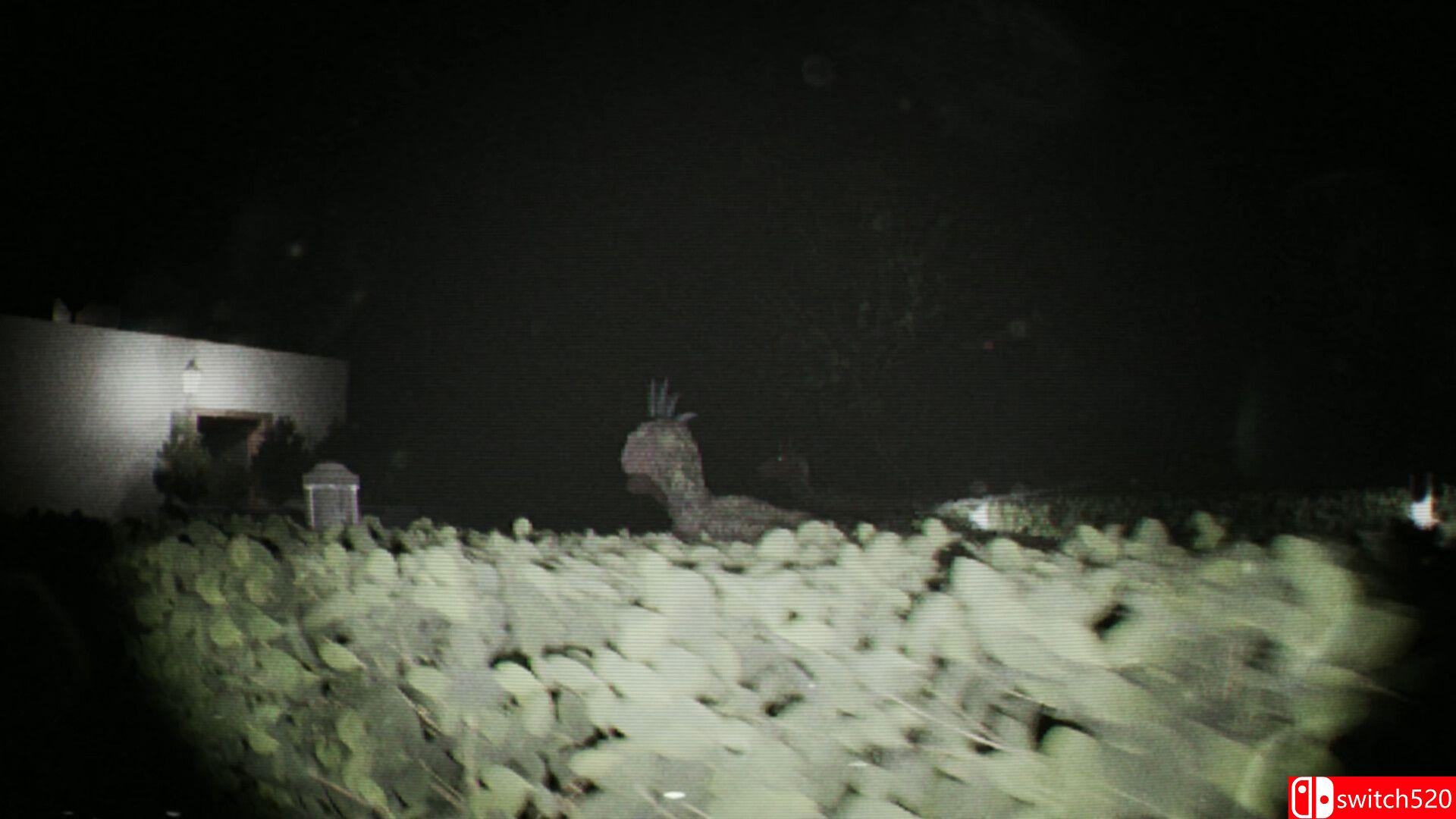 《诡影实录》游戏截图4