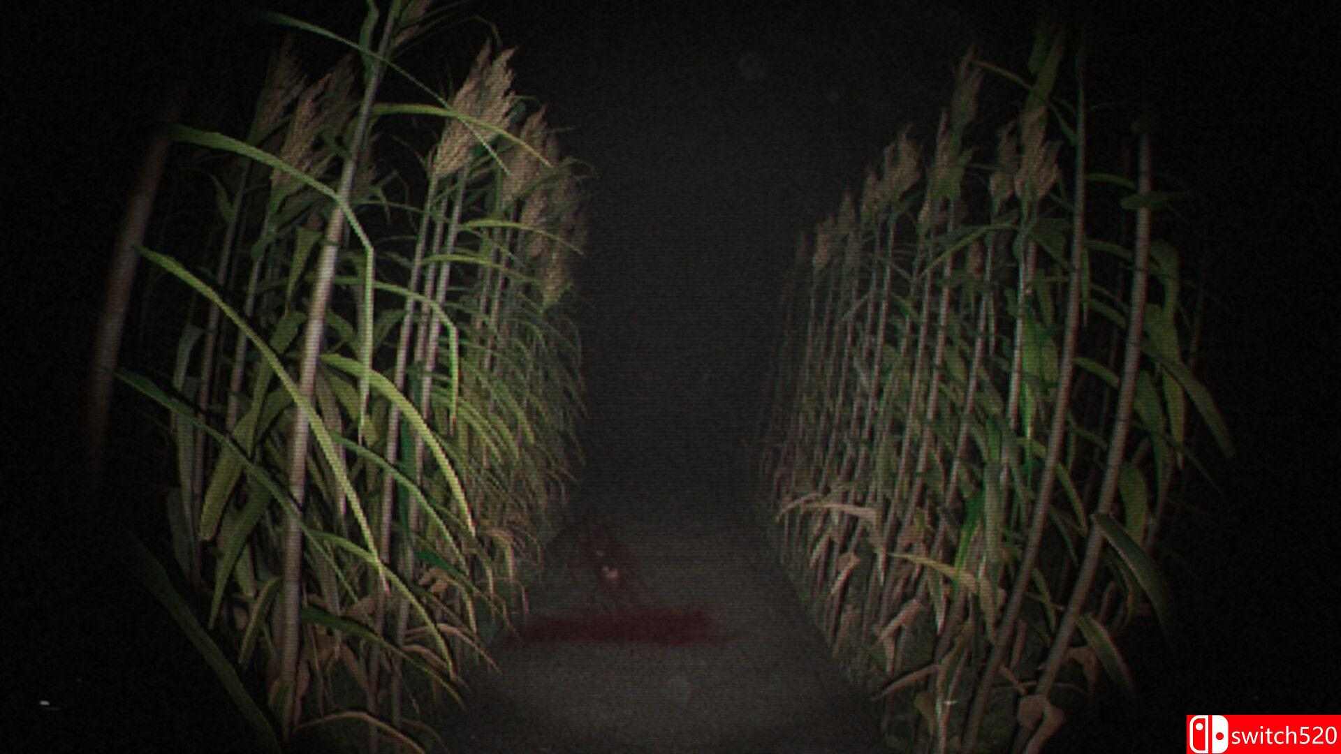 《诡影实录》游戏截图1