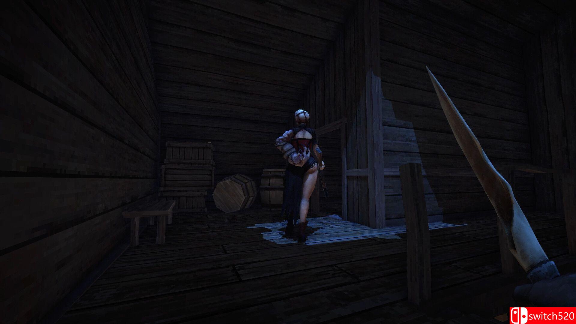 《浴血西部》游戏截图1