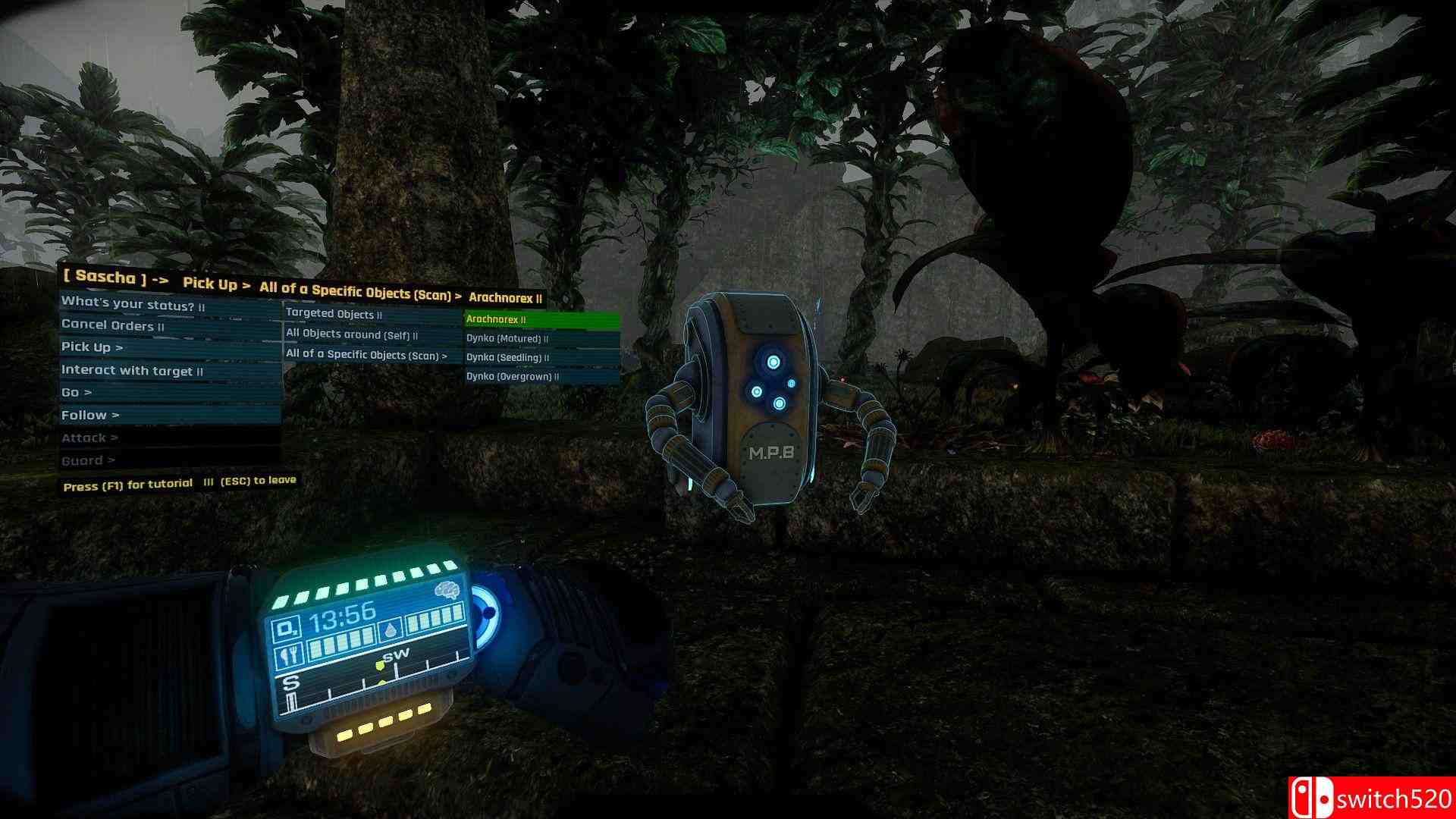 《彭库拉》游戏截图5