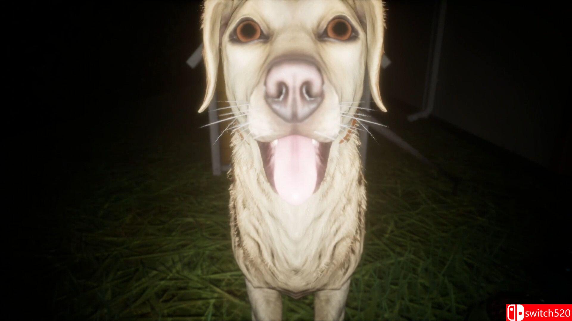 《稻田（The Paddy Field）》TENOKE镜像版[EN/JP]_4