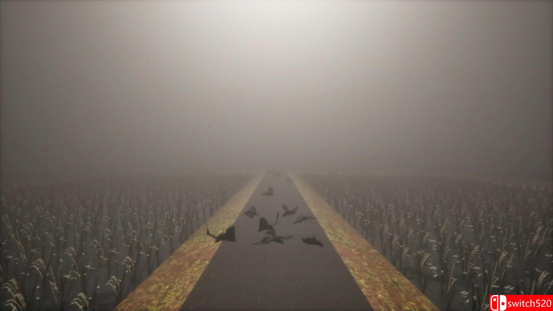 《稻田（The Paddy Field）》TENOKE镜像版[EN/JP]_5