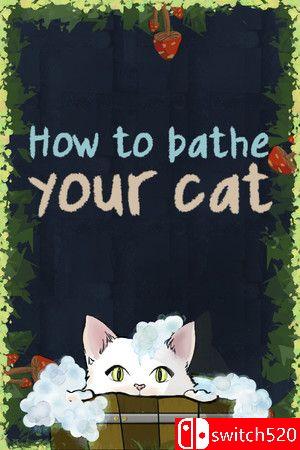 游戏《如何给猫洗澡》封面图