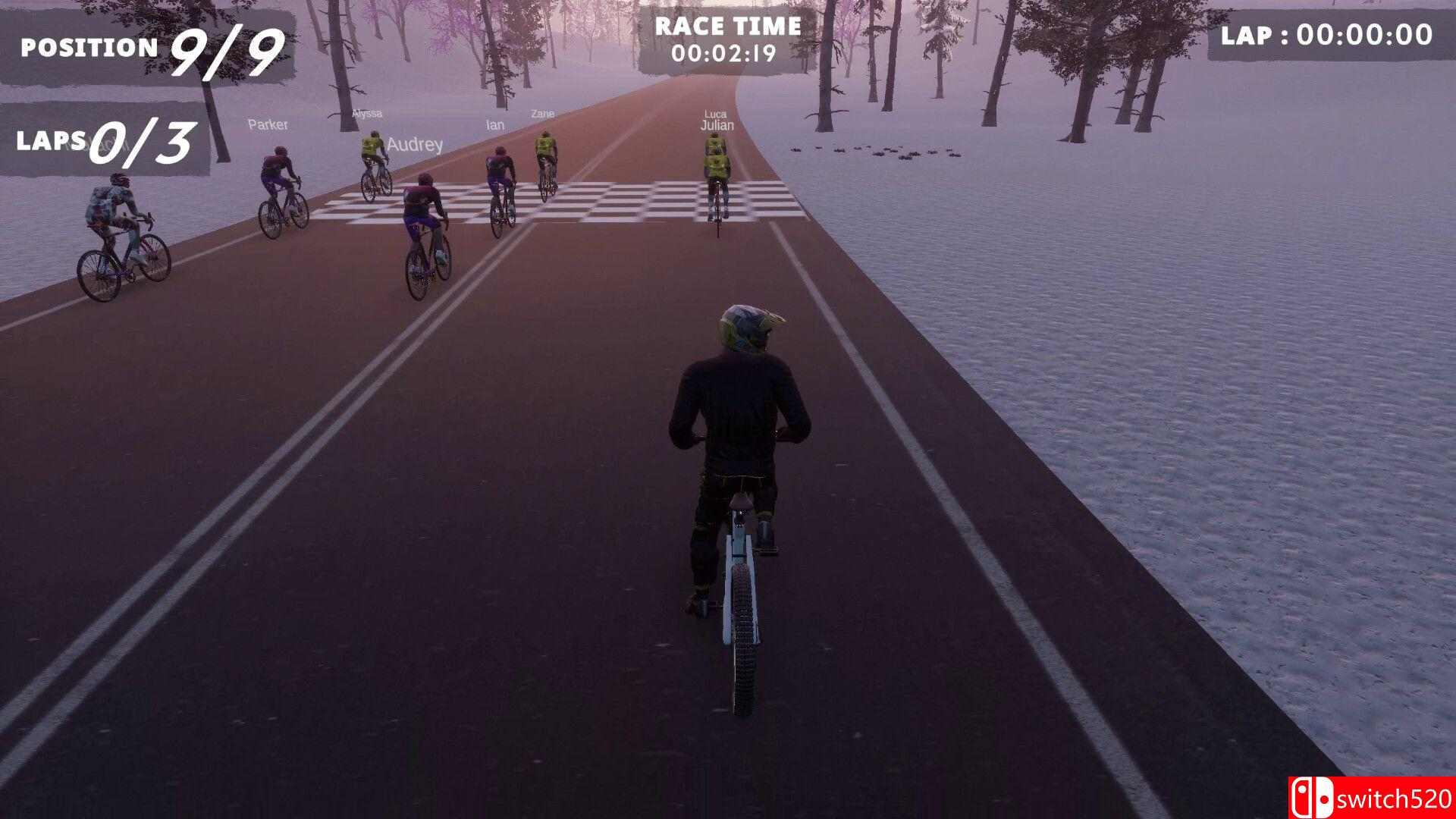 极限骑行游戏截图4