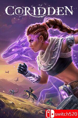 寇瑞登游戏封面