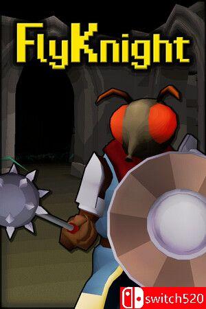 《飞翔骑士（FlyKnight）》v1.0.7 TENOKE镜像版封面图
