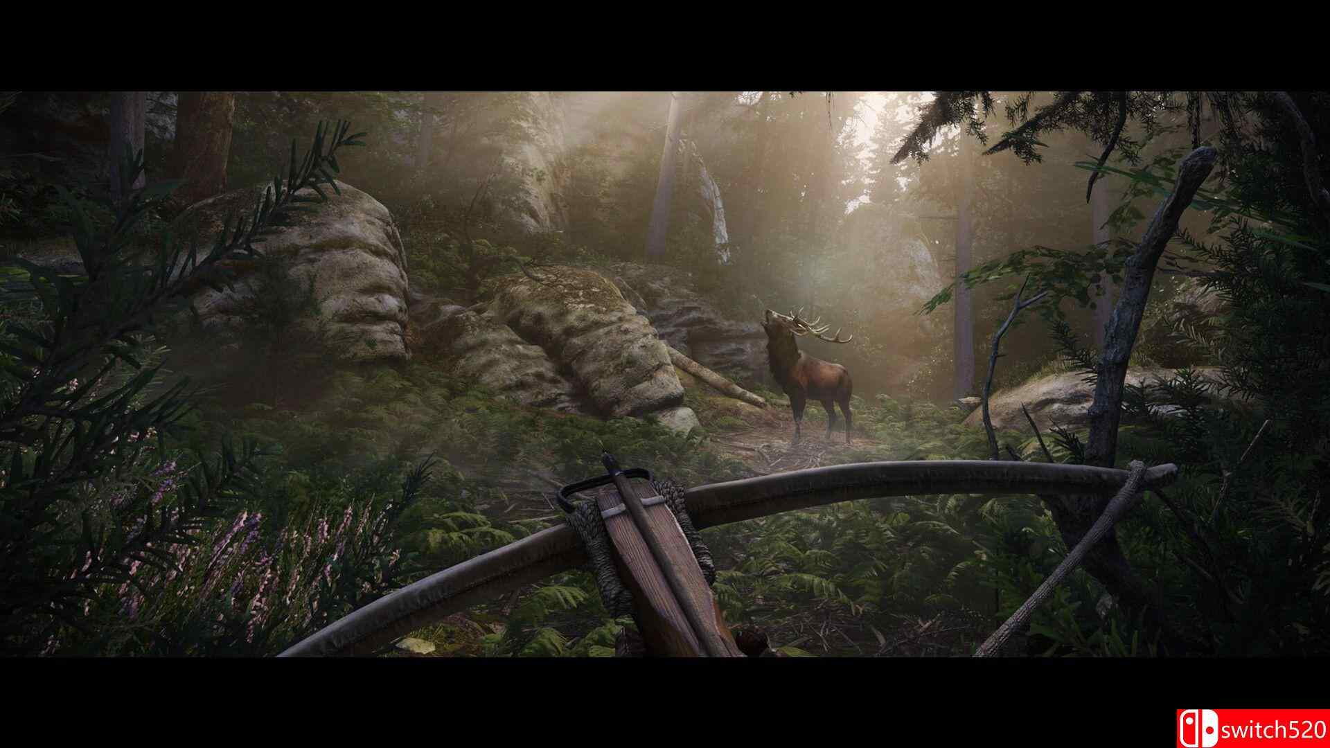 《天国：拯救2》游戏截图3