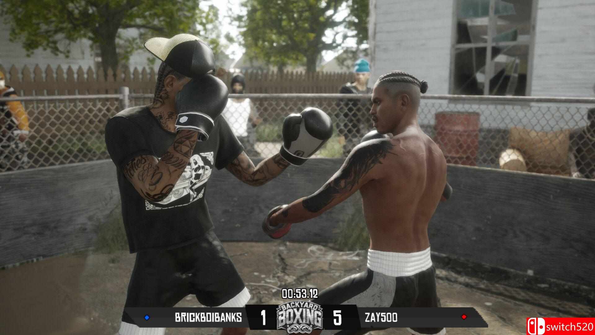 《后院拳击（Backyard Boxing）》TENOKE镜像版[EN]_1