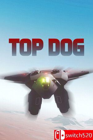 《顶级飞行员（TOP DOG）》游戏封面