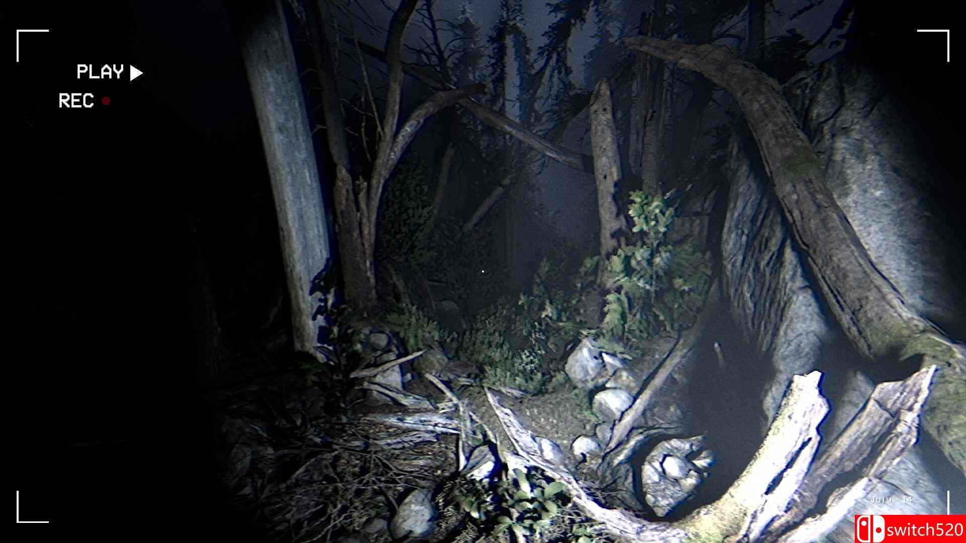 《暗夜同行》游戏截图2