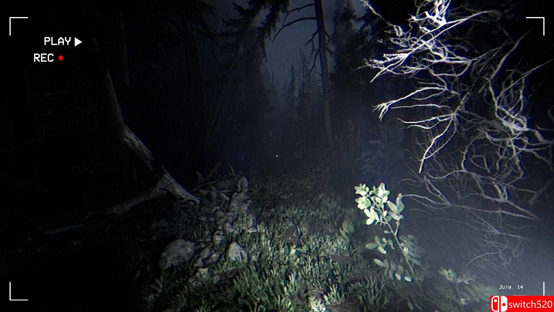 《暗夜同行》游戏截图4