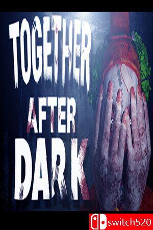 《暗夜同行（Together After Dark）》官方中文 P2P硬盘版封面图