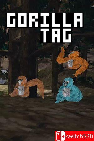 《大猩猩标签（Gorilla Tag）》游戏封面