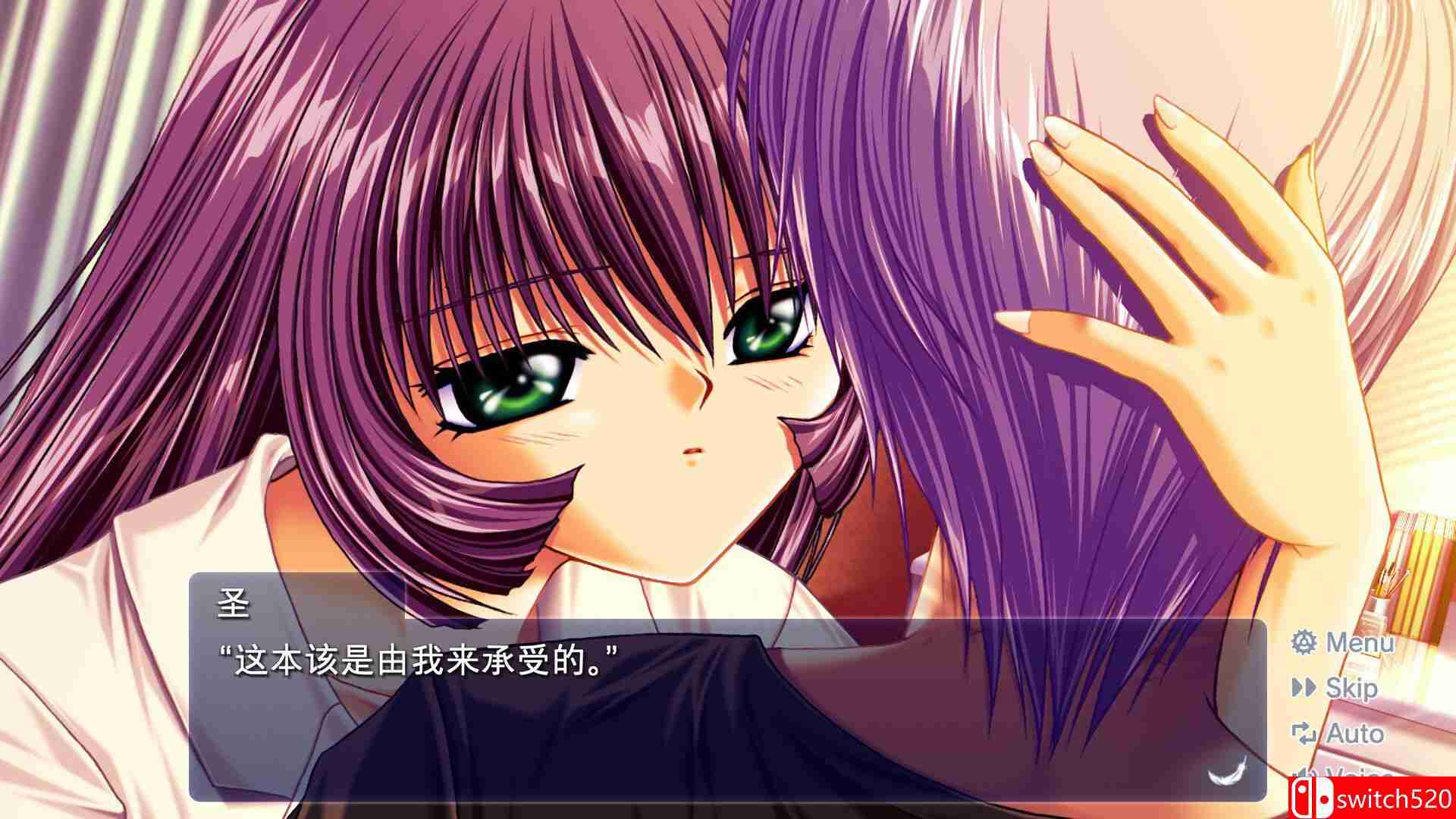 《AIR》游戏截图4