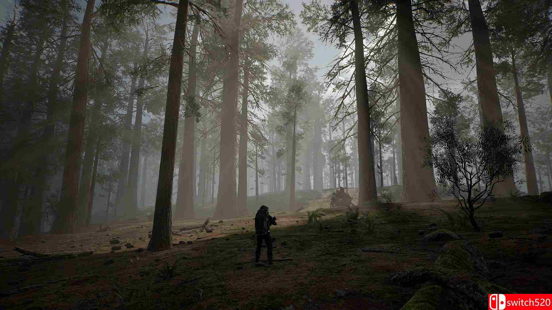 《生命效应》游戏截图3