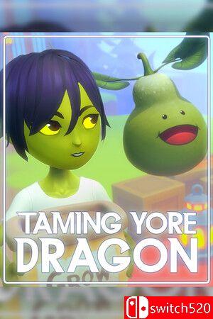 《驯服你的巨龙（Taming Yore Dragon）》游戏封面