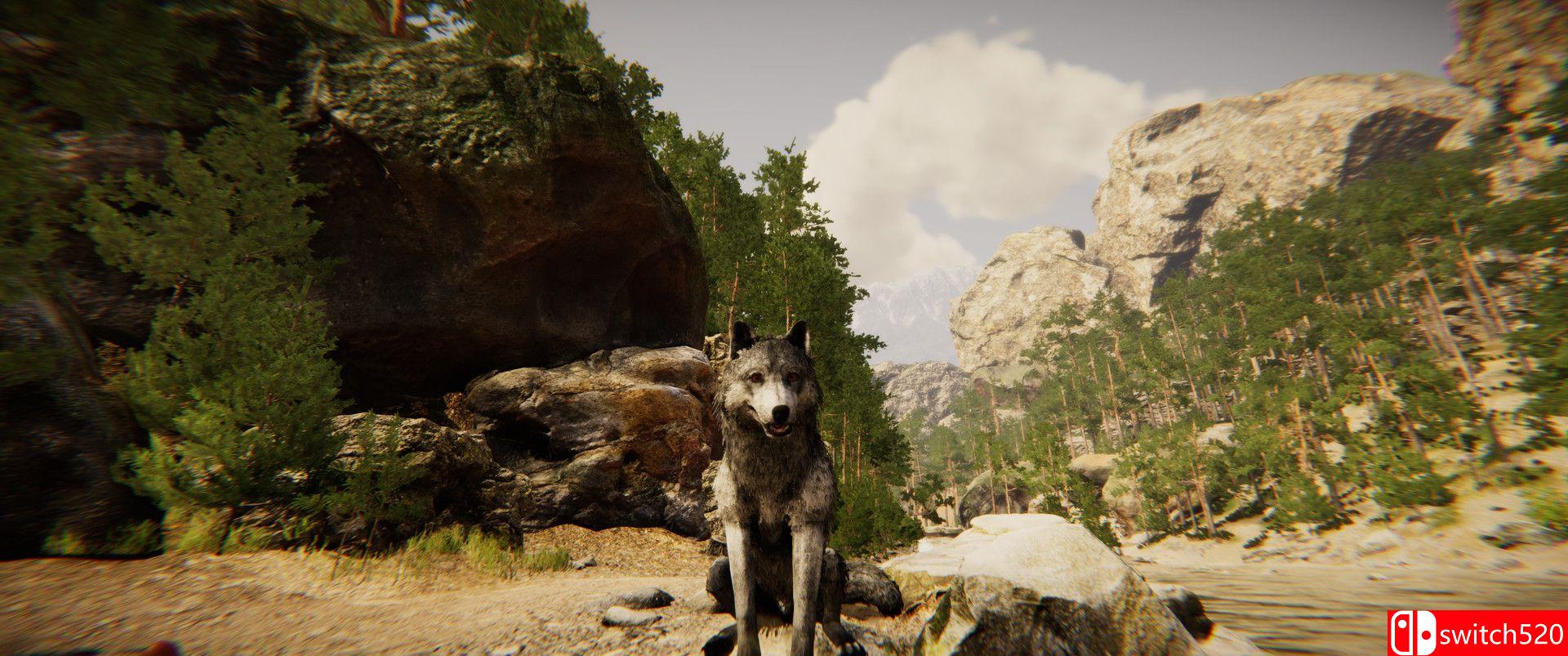 Animal Simulator Screenshot 1