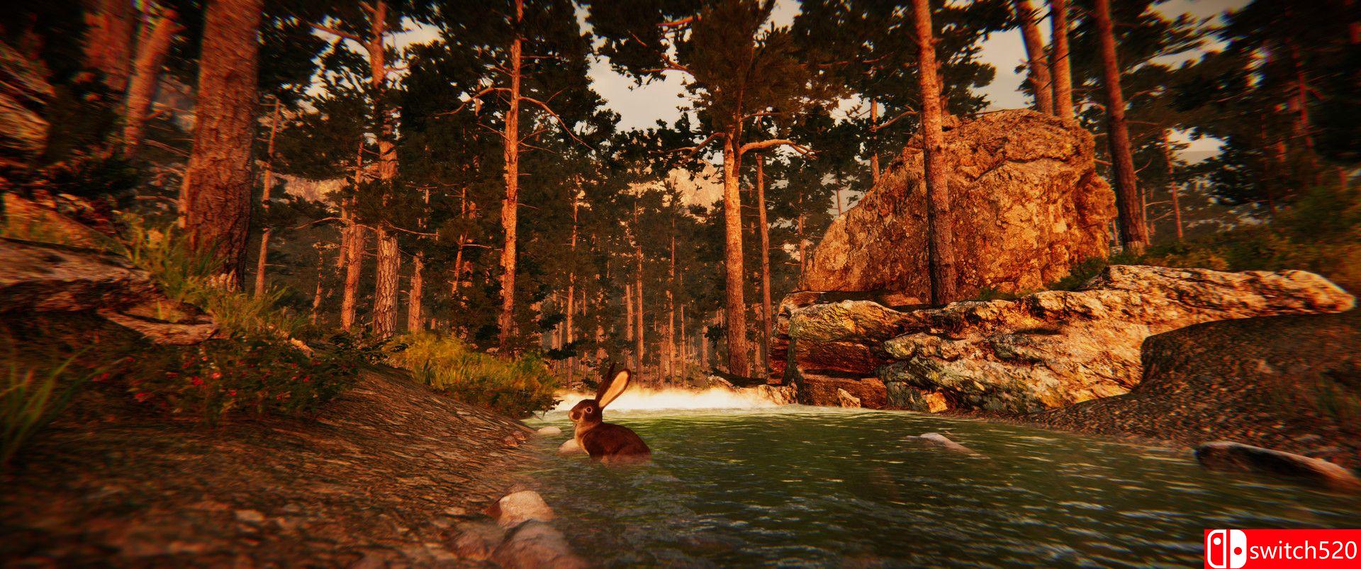 Animal Simulator Screenshot 4