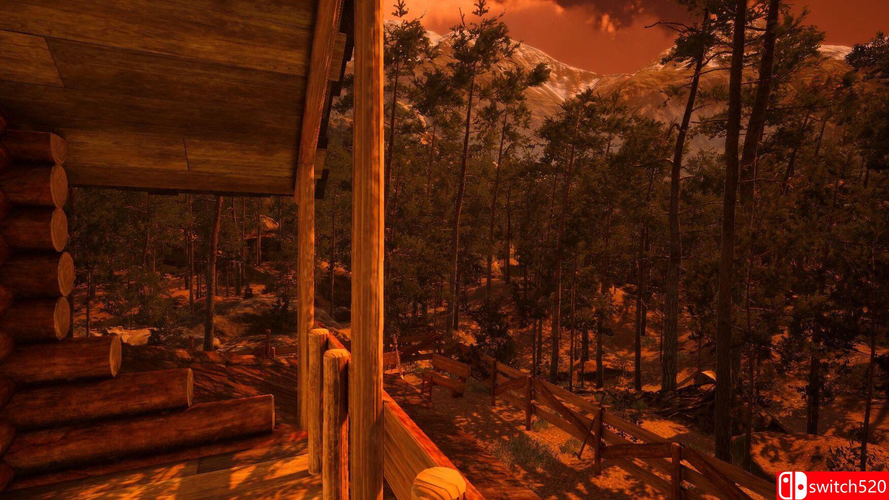 《被追踪者2》游戏截图3