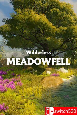 《荒野：梅多费尔（Wilderless: Meadowfell）》游戏封面