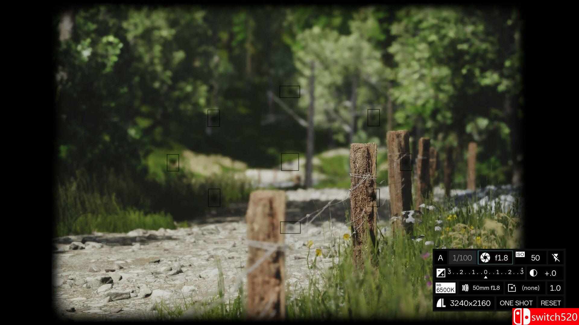 模拟美景摄影游戏截图4