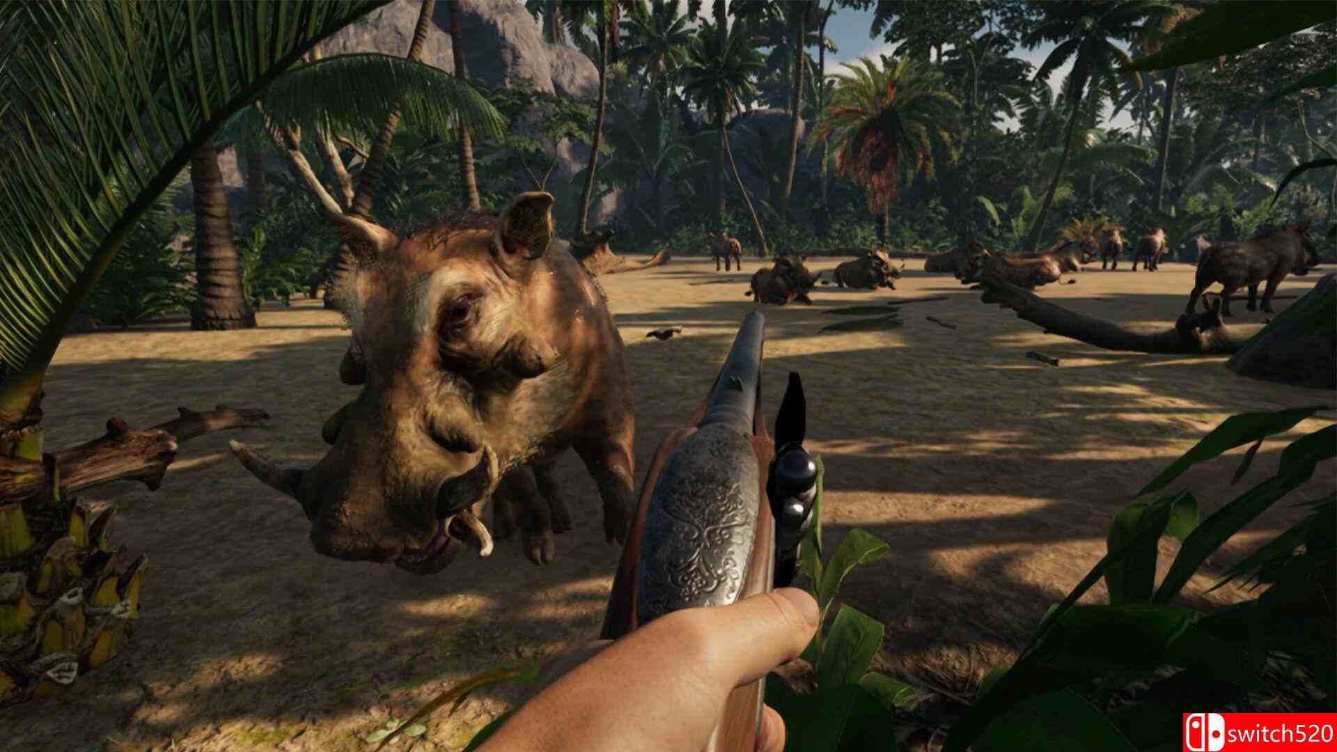 《启始岛》截图5