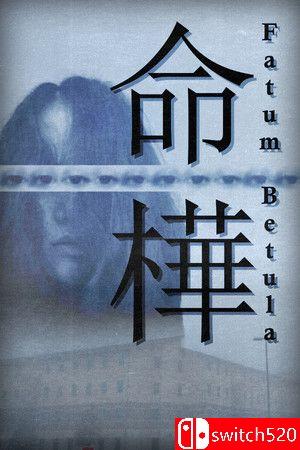 《命桦（Fatum Betula）》游戏封面