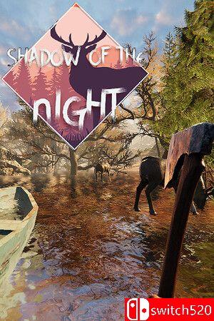 游戏《夜之阴影（Shadow of the Night）》封面图